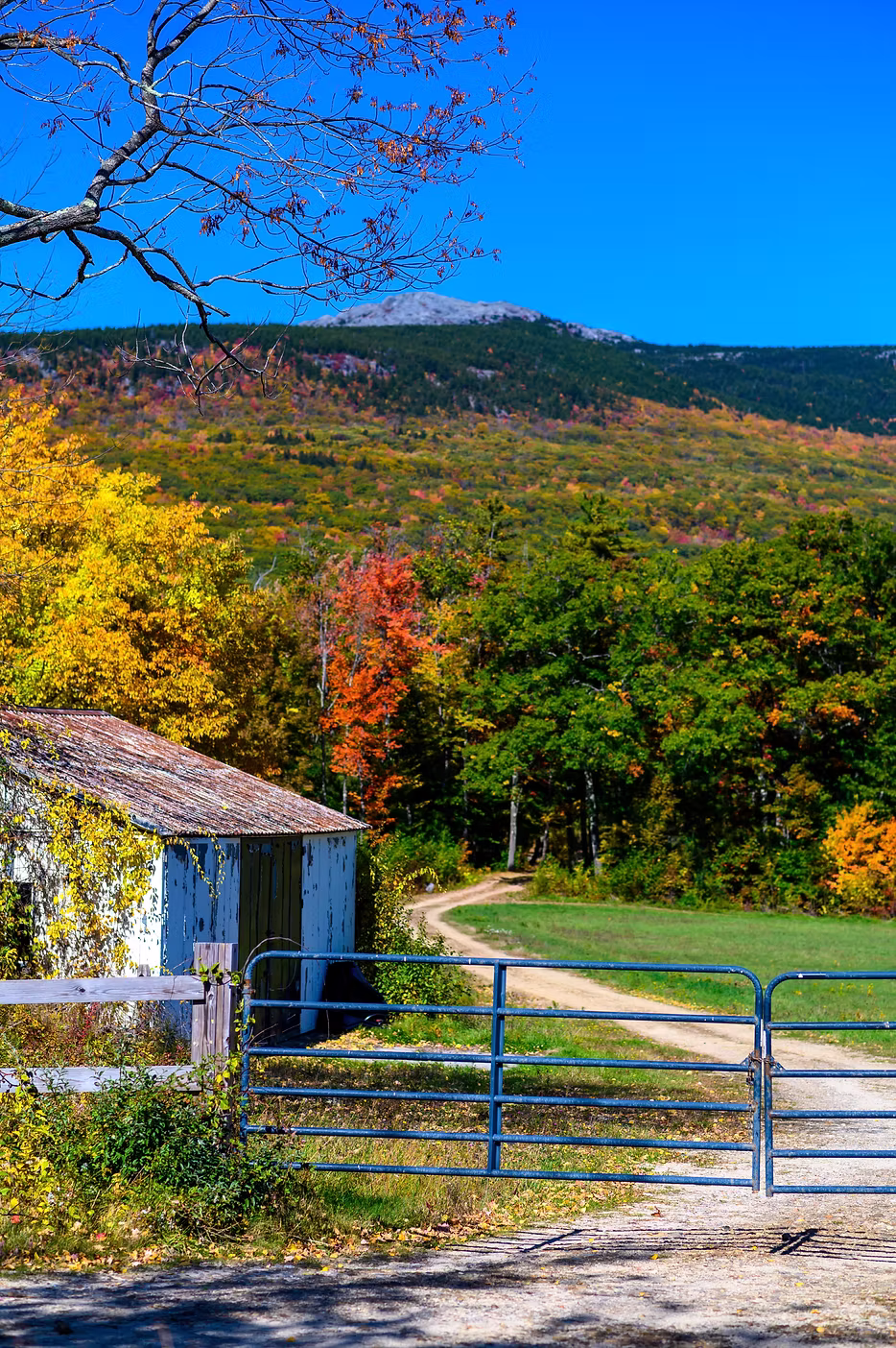 New England Countryside