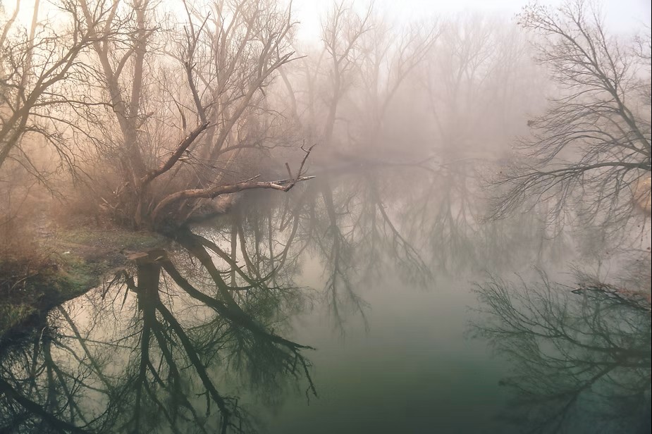The Death of a Modest Meteor, Misty Scene